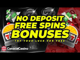 No Deposit Casino Bonus Codes Unlocking Free Gaming Opportunities