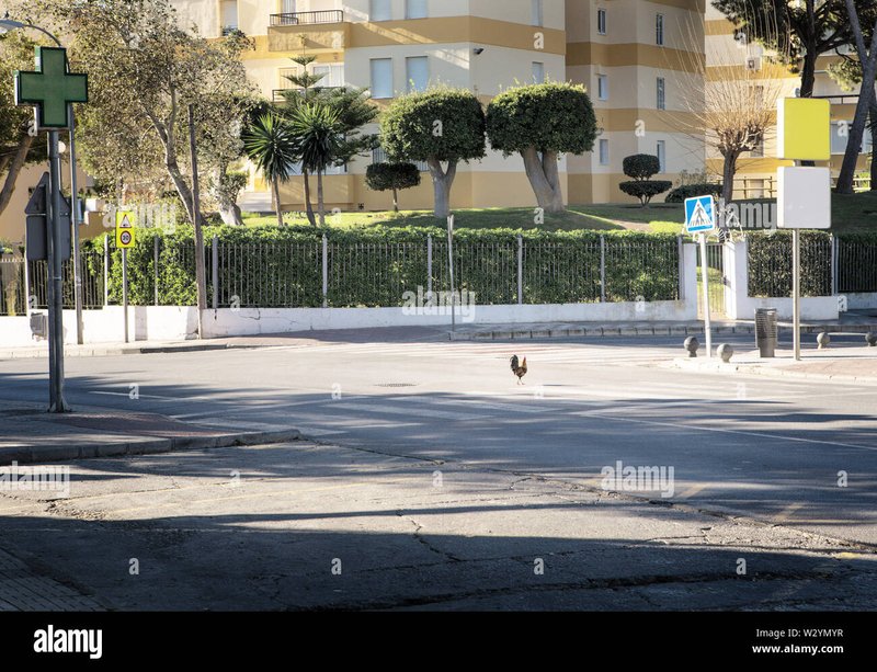 Chicken road - Descubre el Misterio y el Entretenimiento de la Chicken Road Casino en España